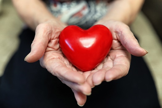 Lowering the Risk of Heart Disease in Seniors in Barrie, ON