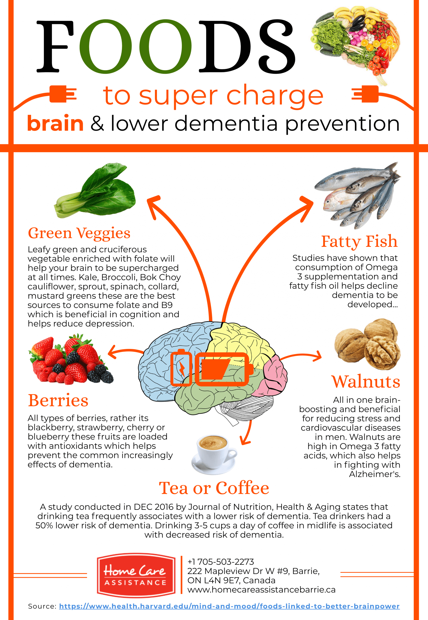 Foods for Brain Health & Lowering Dementia Risk [Infographic]