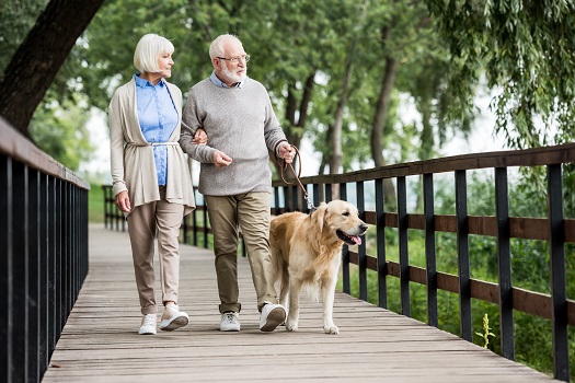 Ways for Enhancing an Aging Adult’s Quality of Life in Barrie, ON
