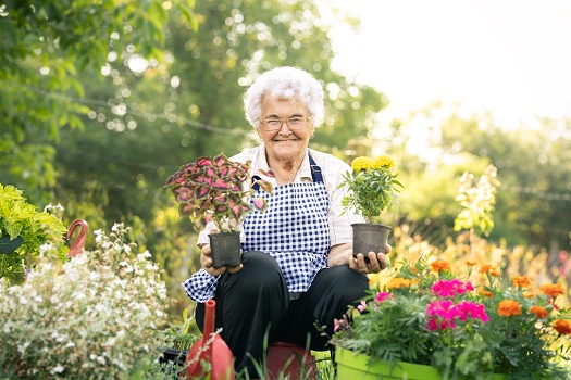 Great Garden Activity Ideas for Older Adults with Dementia in Barrie, ON