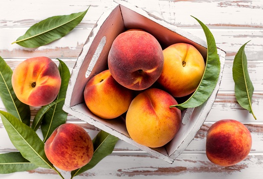 Peaches A Healthy Addition to a Senior's Diet in Barrie, ON