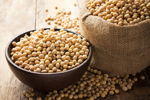 Benefits of Eating Soy for Seniors in Barrie, ON